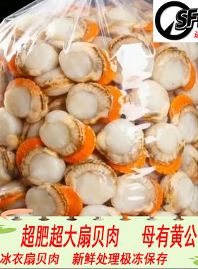 无冰衣无沙原汁扇贝肉