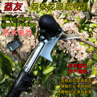 荔枝龙眼专用疏花机不锈钢伸宿杆防进水锂电池剪花机打尖器打花机