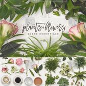 PNG đồ dùng nhà bếp miễn phí tấm cốc muỗng rag tấm hình vật liệu thiết kế nhà bếp [PS1741] - Phòng bếp kệ đựng gia vị