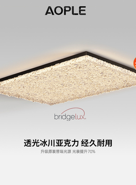 意式极简长方形超亮高级感树脂亚克力大气创意2025新款客厅吸顶灯
