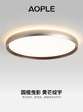 银灰色全光谱护眼意式极简卧室吸顶灯简约现代餐厅房间灯中山灯具