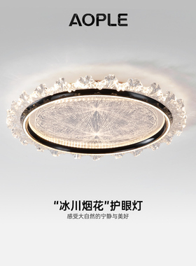 意式轻奢烟花卧室主卧书房次卧书房大气全光谱LED护眼客厅吸顶灯