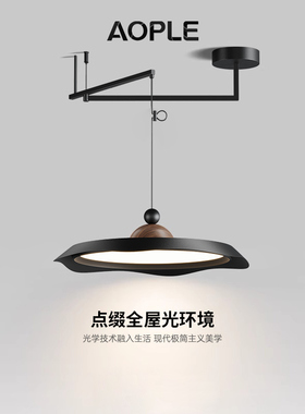 AOPLE飞碟餐厅吊灯 新款中古复古餐桌灯创意圆形摇臂可移位飞盘灯