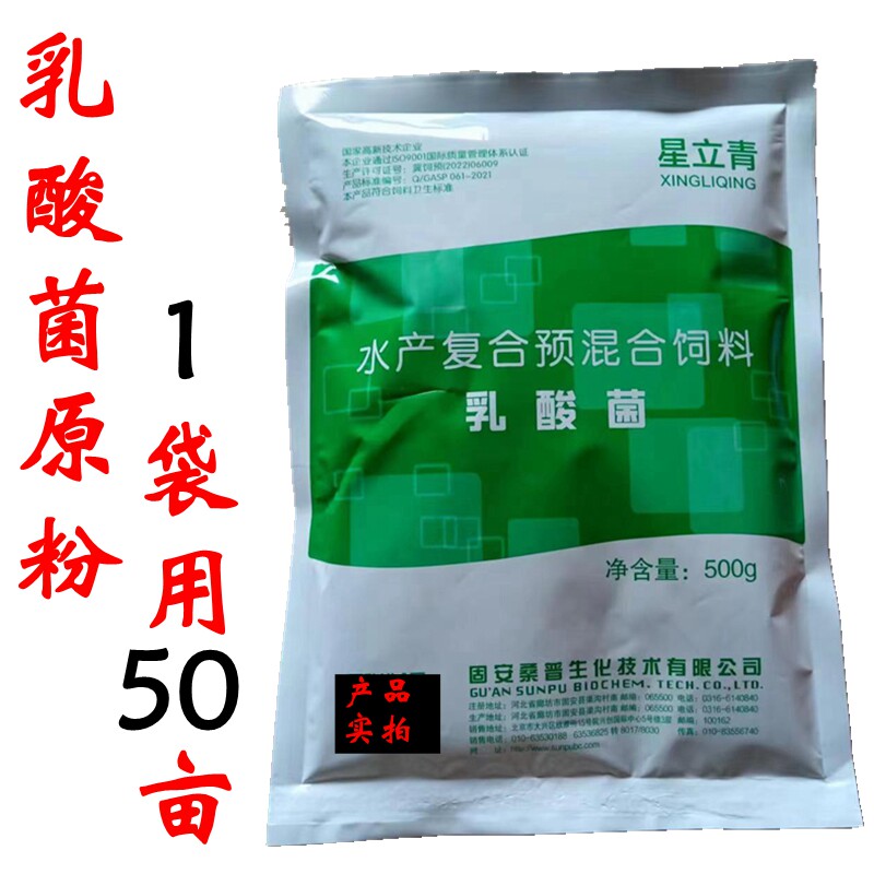 桑普乳酸菌 乳酸菌水产养殖专用菌种鱼塘调节水质肥水净水降ph值