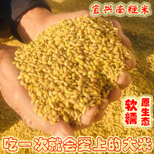 新大米 南粳米46宜兴鱼米之乡江苏农家大米软香糯4.5kg包邮