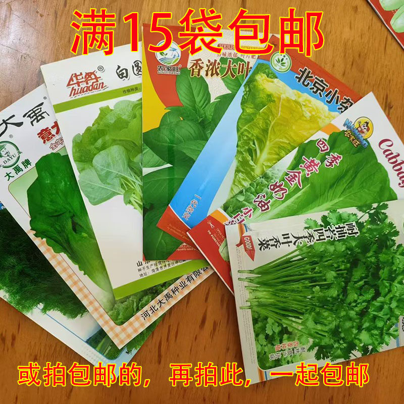 四季播种蔬菜种子套餐青菜