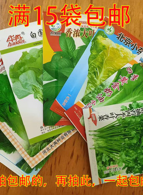 四季播种蔬菜种子蔬菜籽青菜小葱小白菜生菜油麦菜种阳台盆栽菜籽
