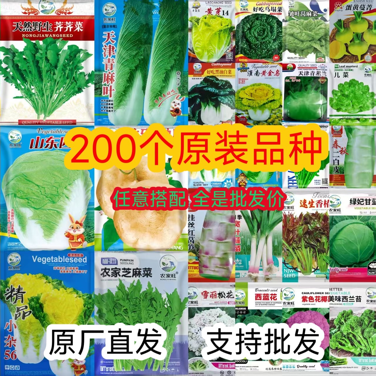 四季播易种蔬菜种子套餐阳台菜园家庭园艺种子