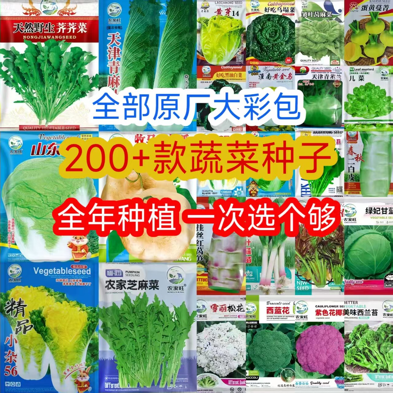 四季蔬菜种子组合装大包装家庭阳台盆栽西红柿黄瓜辣椒豆角菜种籽图片