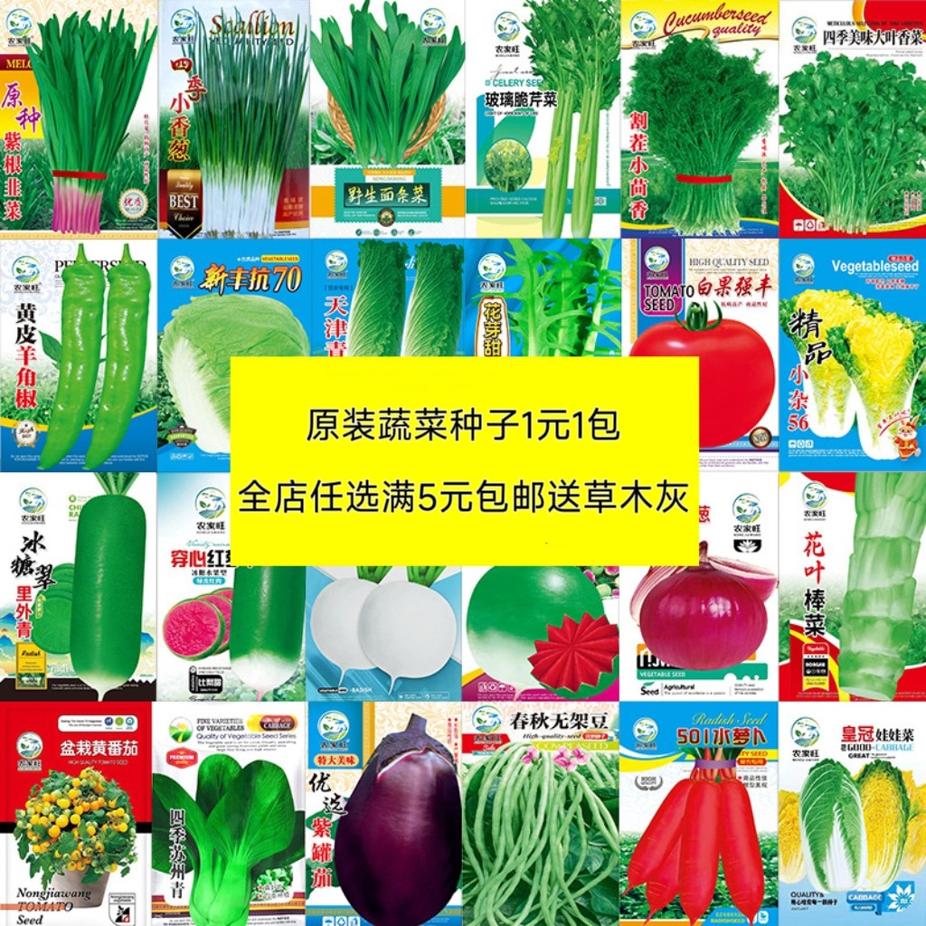 四季蔬菜种子香菜小葱黄瓜番茄子家庭园艺种子