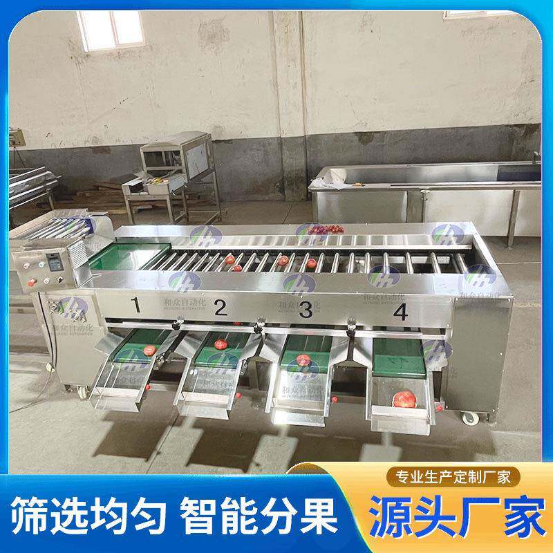 滚杠分选机椭圆形瓜果不锈钢分级机大型工业商用苹果梨桃子分选