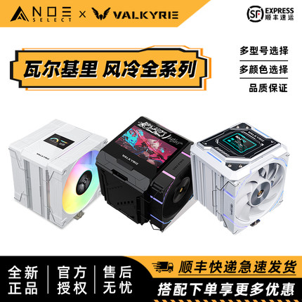 VK瓦尔基里AQ125 CQ125 DQ125 CL125 EL125 DX140风冷散热器 大屏