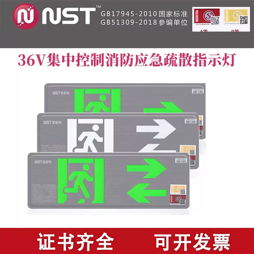 拿斯特A型DC36V应急指示灯