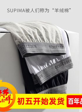 2条装 德国舒雅supima棉男士内裤平角裤全纯棉运动四角底裤短裤衩