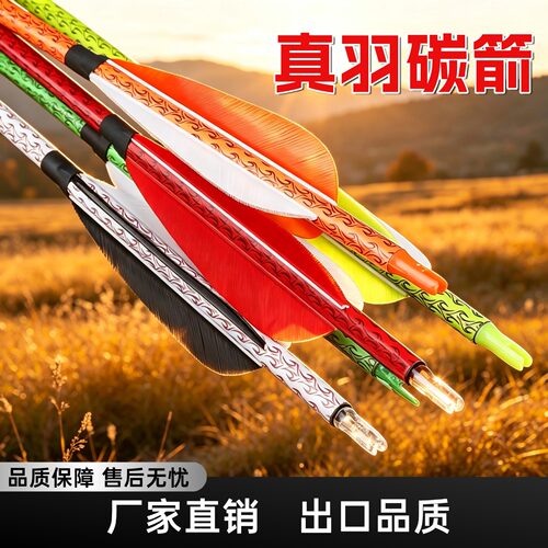 真羽碳箭弓胶羽箭练习箭支