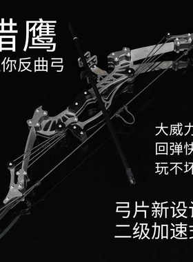 户外运动大威力套装复合弓箭猎鹰