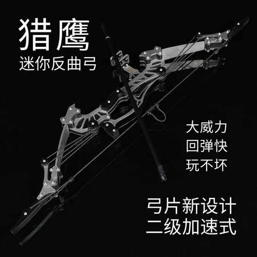 户外运动大威力套装复合弓箭猎鹰