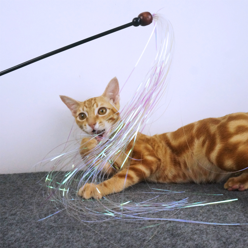 莞尔喵 仙女逗猫棒穗穗丝条流苏仙女彩纸响纸逗猫棒猫咪用品玩具在类目 宠物/宠物食品及用品, 猫/狗玩具, 逗猫棒中 - 来自Buy2taobao.com提供专业的淘宝代购服务