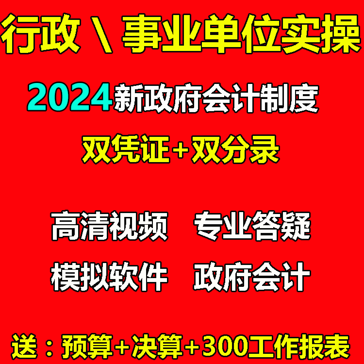 新政府会计制度行政事业单位决算预算实务做账课程实训视频教程 教育培训 财务/会计培训 原图主图