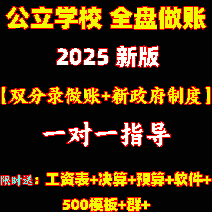 24公立公办学校幼儿园财务全盘培训会计实务做账课程实训视频教程