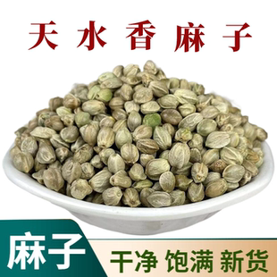 甘肃天水麻子大颗粒麻子新货大粒特产原味熟生麻籽人吃
