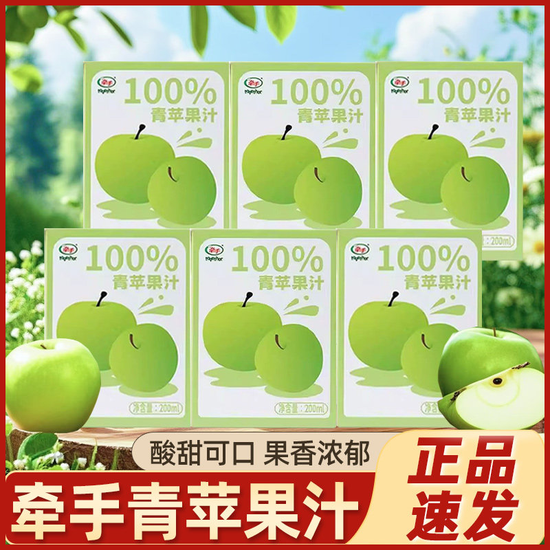 牵手青苹果汁梨汁盒装酸甜饮品果汁果饮夏季果味饮料网红休闲即饮