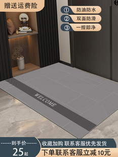 轻奢入户门地垫科技皮革地垫地毯pvc防滑家用门口垫脚垫 2024新款