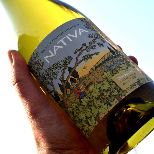 NATIVA霞多丽干白葡萄酒智利原装