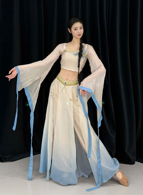 新款超仙晓暮蝶古典舞服装青花瓷演出服敦煌舞显瘦练功服汉唐服装