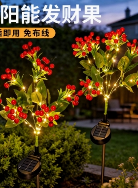 太阳能发财果LED装饰灯彩灯户外防水花园庭院氛围灯景观灯草坪灯
