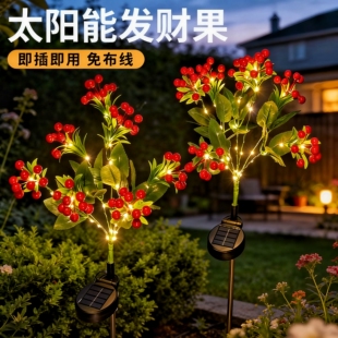 饰灯彩灯户外防水花园庭院氛围灯景观灯草坪灯 太阳能发财果LED装