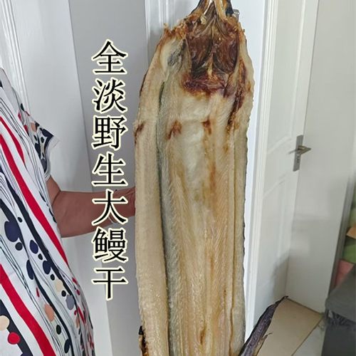 新晒1份包邮舟山海鲜特产干货中小淡鳗鱼干淡 鳗鱼鲞 海鳗干250克