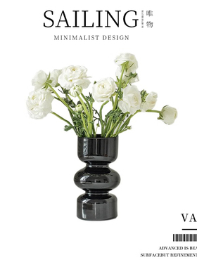 Sailing法式花瓶玻璃透明水养插花客厅桌面摆件轻奢黑色高级感