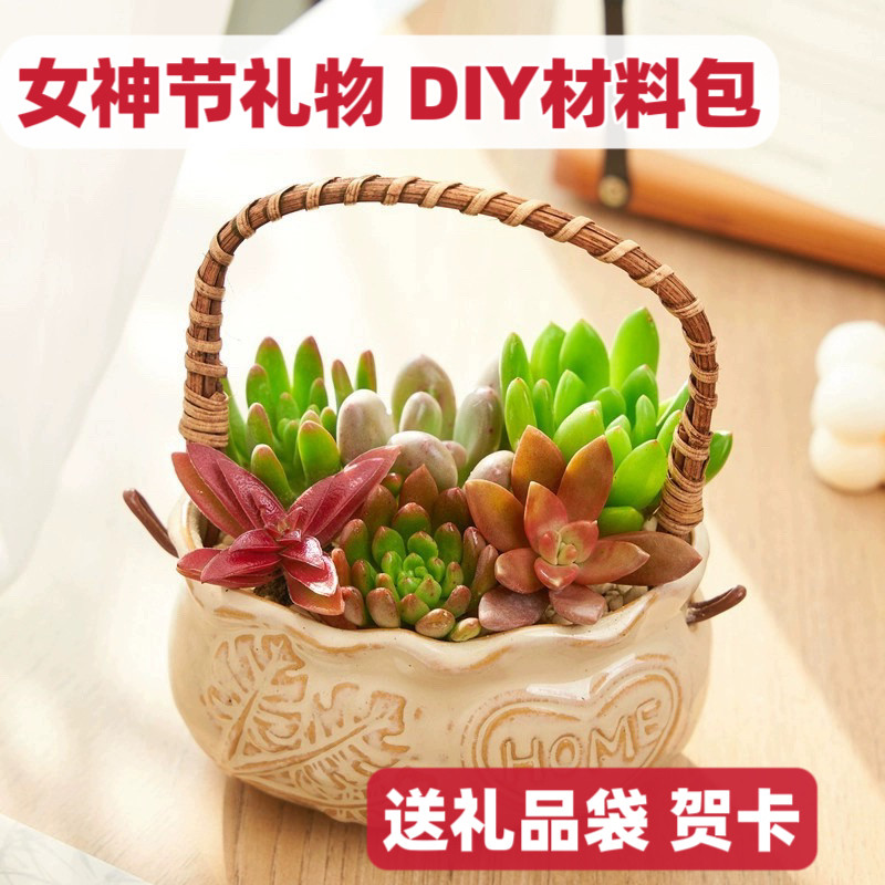 三八节活动礼品提篮多肉植物组合办公桌盆栽创意DIY套装肉肉植物,鲜花速递/花卉仿真/绿植园艺,多肉植物,淘宝优惠券,粉丝福利购,淘宝优惠卷