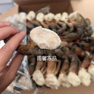 印尼进口青蟹排冷冻青蟹块鲜活冷冻带脚蟹肉青蟹肉块整件16kg餐厅