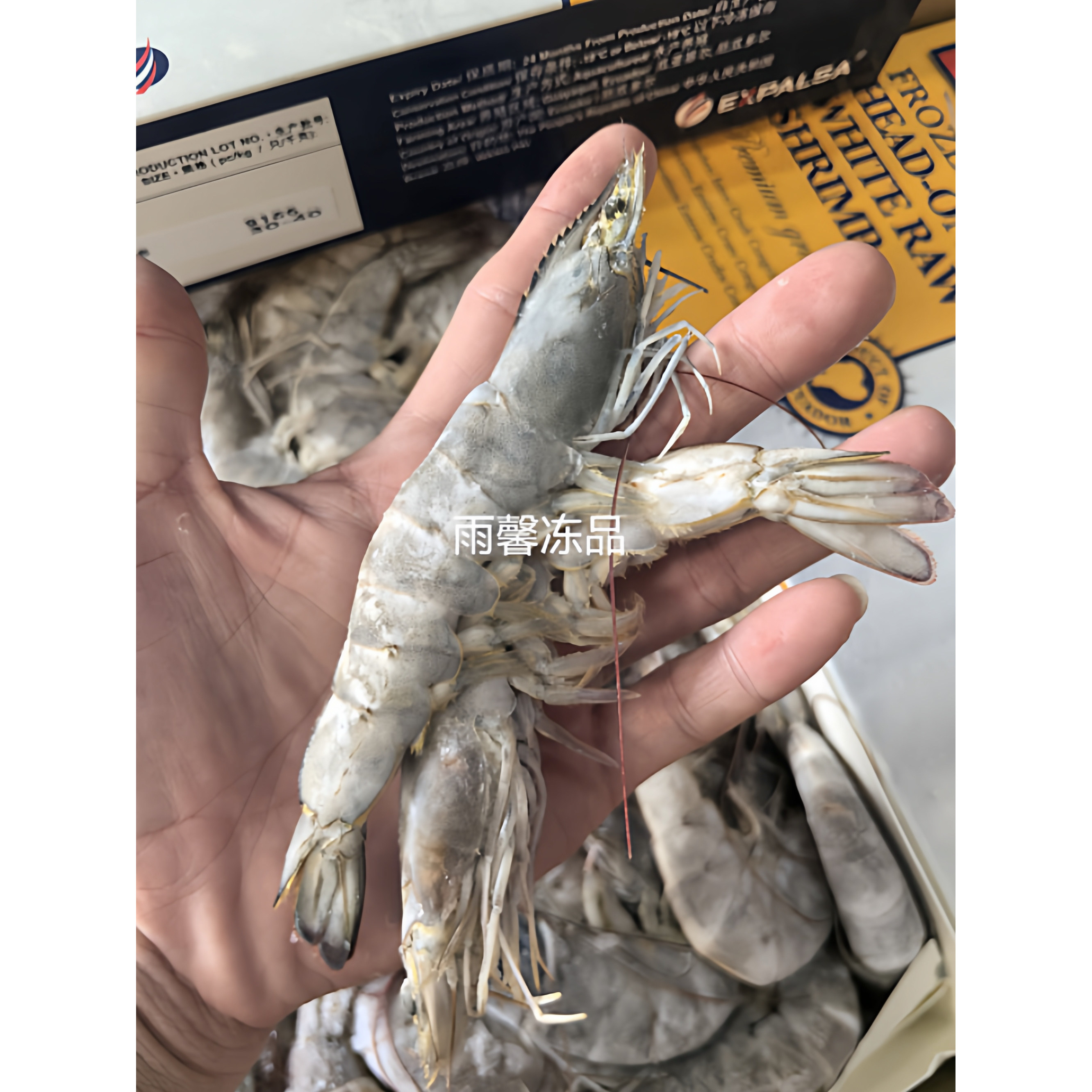 王牌盐冻白虾1.5kg1盒 厄瓜多尔白虾30/40/50南美白对虾带头带壳