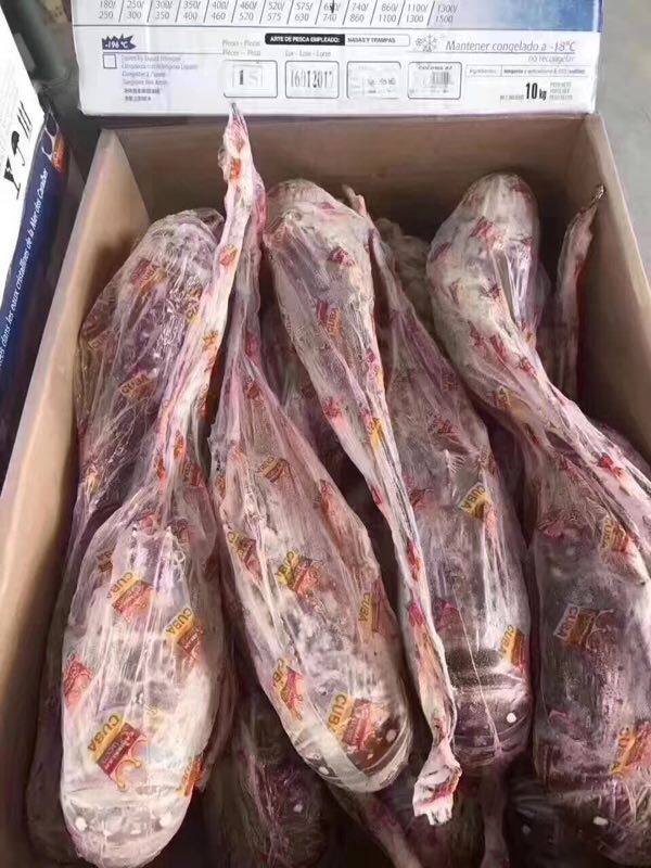 皇冠 古巴龙虾 原装进口古巴龙虾  8-14头  每件10公斤