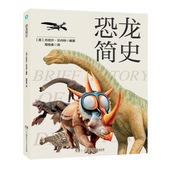 揭秘冷门恐龙知识 14岁 高阶恐龙爱好者必备 恐龙简史