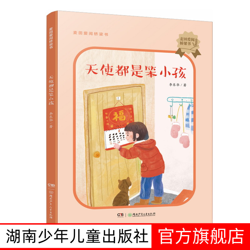 麦田爱阅桥梁书：天使都是笨小孩 李东华著 湖南少年儿童出版社