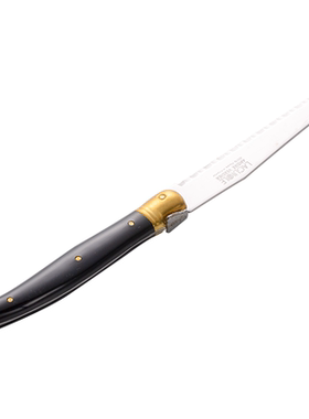 法国André Verdier DEBUTANT黄铜黑不锈钢正餐刀牛排刀西餐刀具