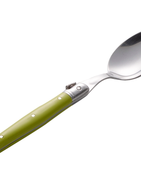 法国André Verdier DEBUTANT茴香绿 不锈钢西餐甜品勺小勺点心勺
