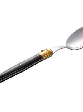 法国André Verdier DEBUTANT黄铜黑 不锈钢咖啡勺西餐甜品勺16cm