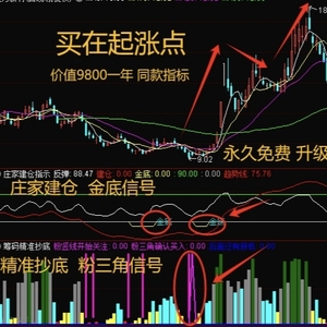 通达信安装 价值9800同款 主力建仓抄底指标