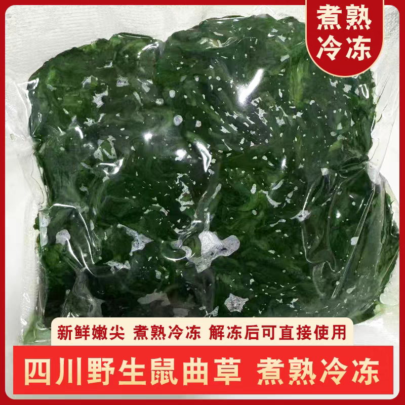 鼠曲草新鲜野生鼠麴食用艾粿清明果田艾草野菜现摘现发250g清明草