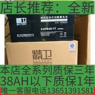 12V40AH 科华精卫蓄电池6 UPS GFM 用铅酸免维护后备电池