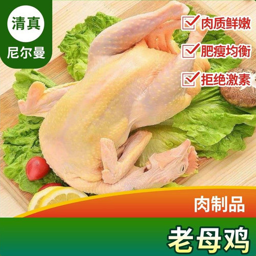 清真生鲜老母鸡内蒙古农家土鸡