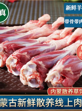 肉羊小腿羊棒骨腱子草原羊