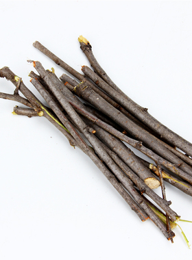 桃木树枝  桃木枝