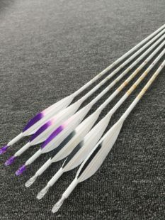 战戈箭矢之云端纯碳素箭杆美猎传统户外比赛用箭