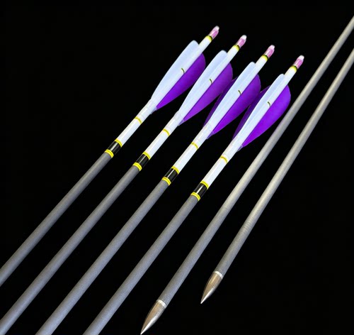 战鸽碳箭战戈箭矢临风 6.2 内径真羽纯碳箭美猎传统专用火鸡羽